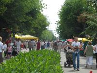 Брест праздничный