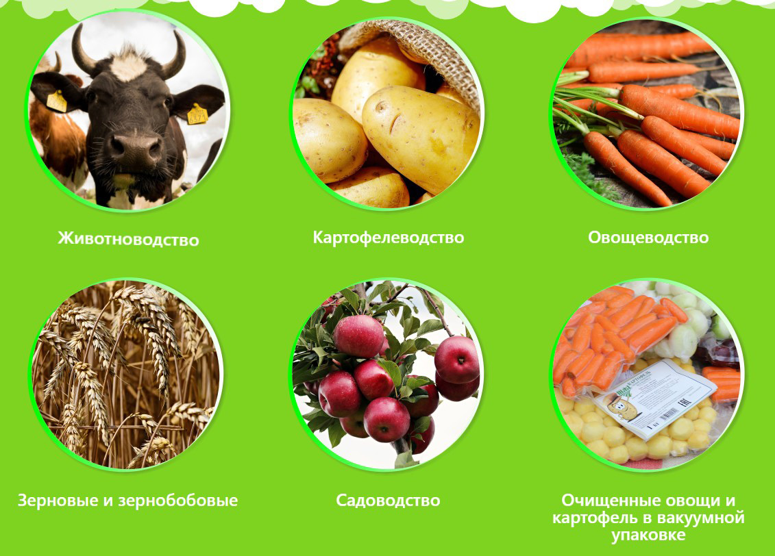 Агро-Мотоль: изображение 1