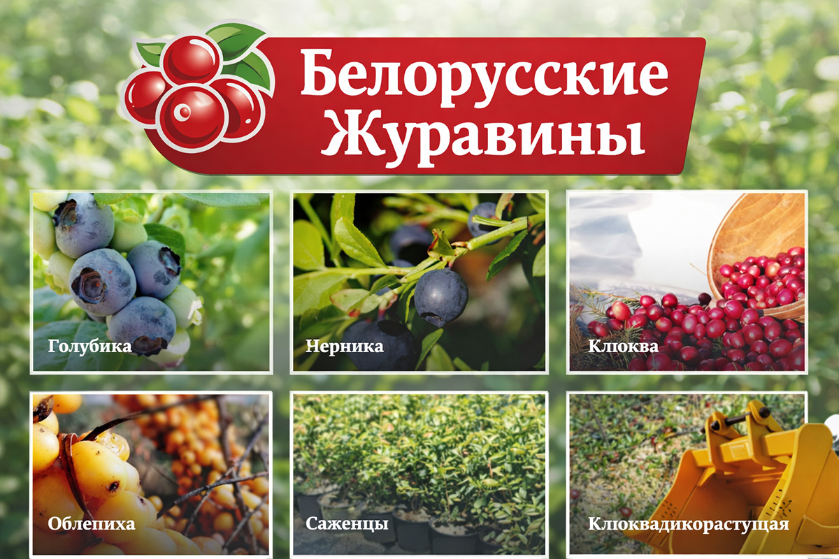 Полесские журавины: изображение 1