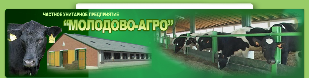 Молодово-Агро: изображение 1