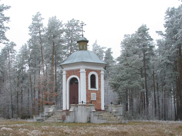 Каплица в д. Поддубно, фото 3