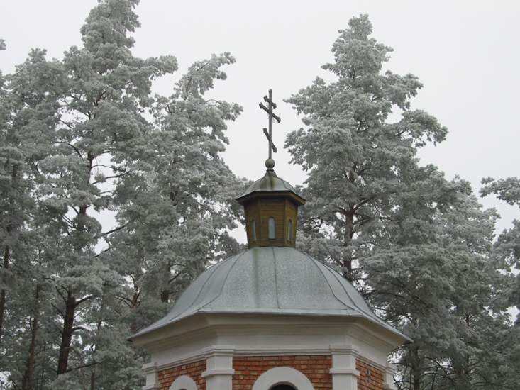 Каплица в д. Поддубно, фото 6