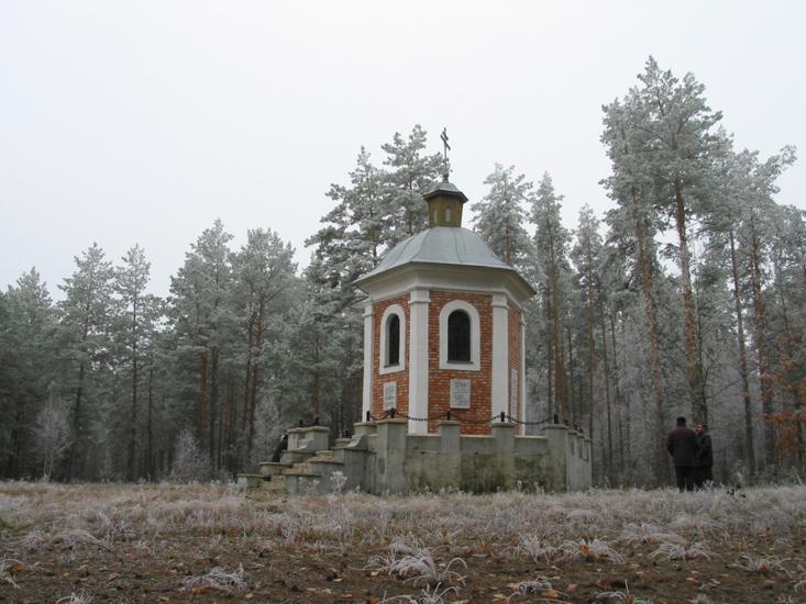 Каплица в д. Поддубно, фото 11