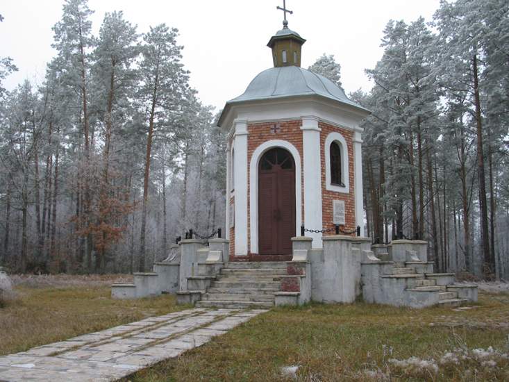 Каплица в д. Поддубно, фото 19