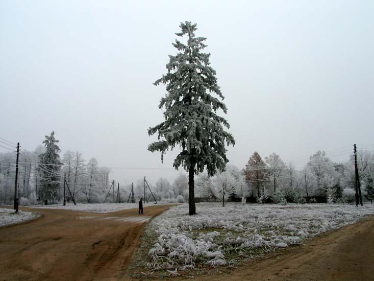 Заказник «Дикое», фото 1