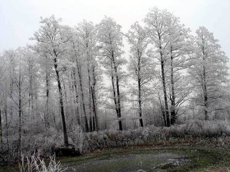 Заказник «Дикое», фото 2