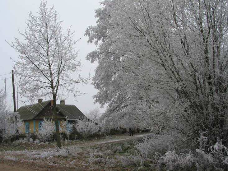 Заказник «Дикое», фото 3