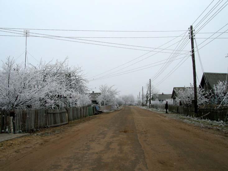 Заказник «Дикое», фото 4