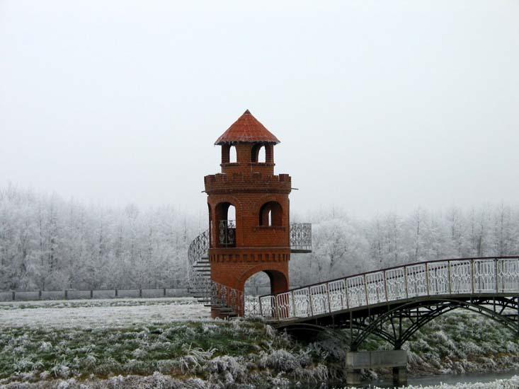 Заказник «Дикое», фото 14