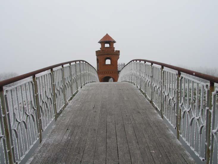 Заказник «Дикое», фото 16