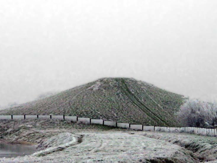 Заказник «Дикое», фото 17