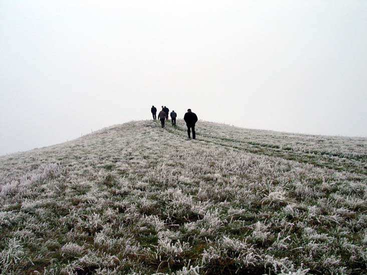 Заказник «Дикое», фото 18