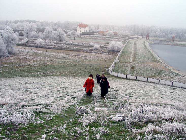 Заказник «Дикое», фото 19