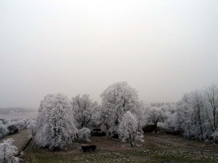 Заказник «Дикое», фото 20