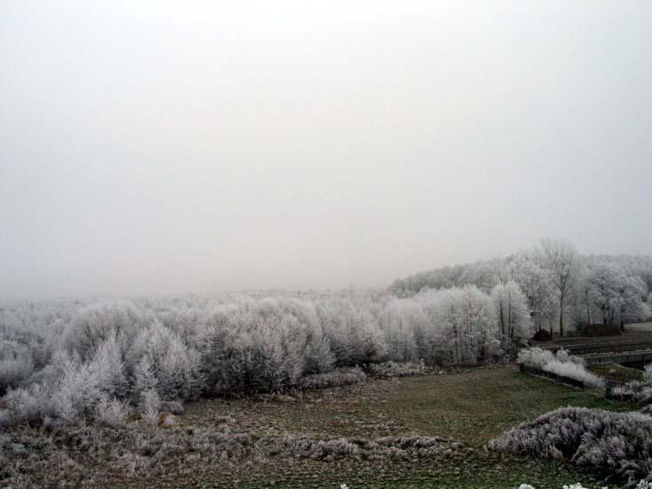Заказник «Дикое», фото 21
