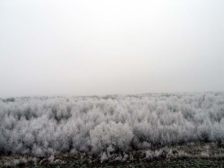 Заказник «Дикое», фото 23