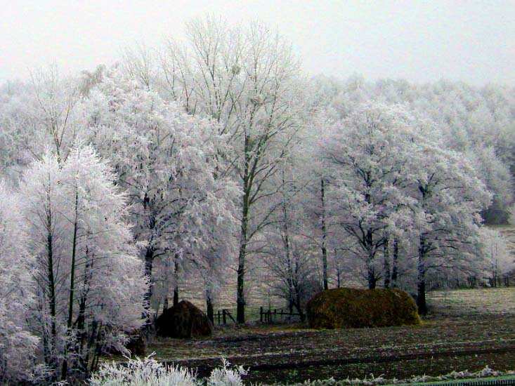 Заказник «Дикое», фото 24