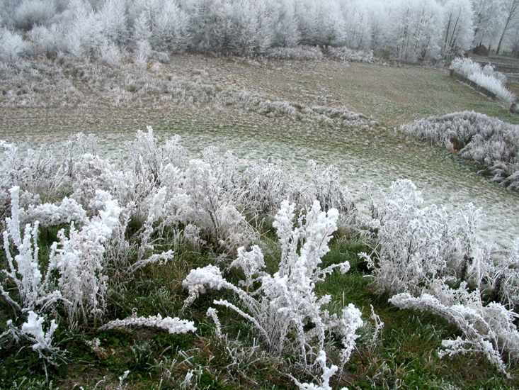 Заказник «Дикое», Карта