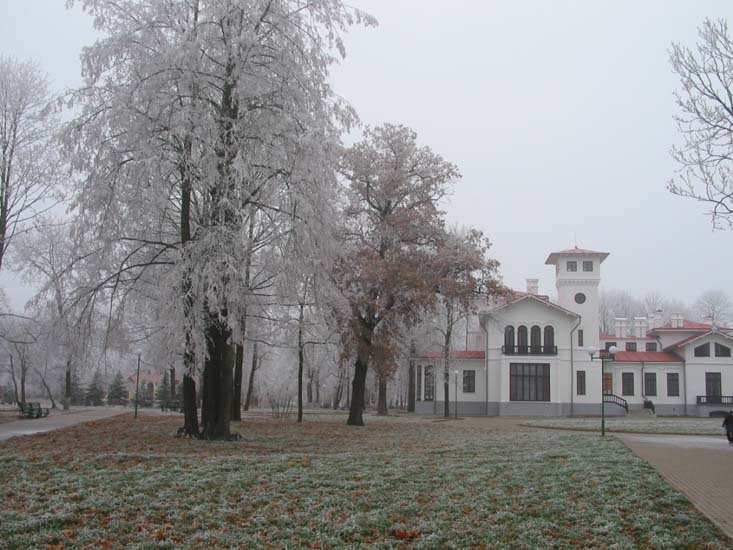 Пружанский палацик, фото 28