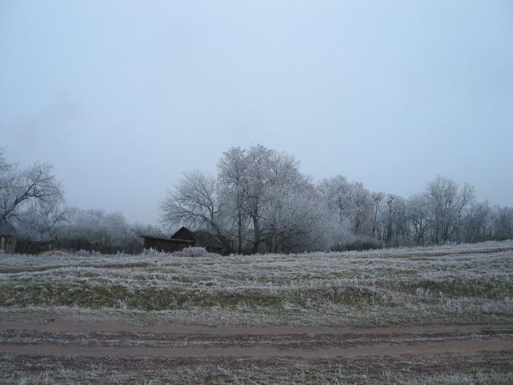 Ружанский замок, фото 16