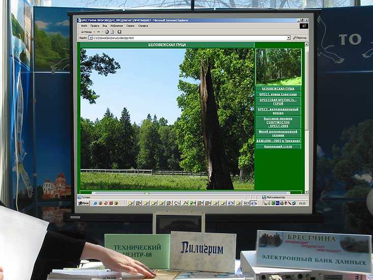 Беловежская пуща на выставке