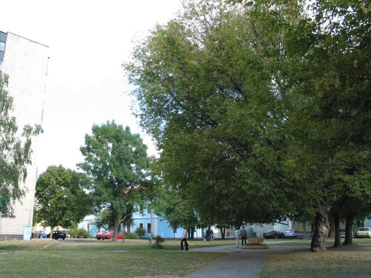 Дом, связанный с памятью о Менахеме Бегине в Бресте