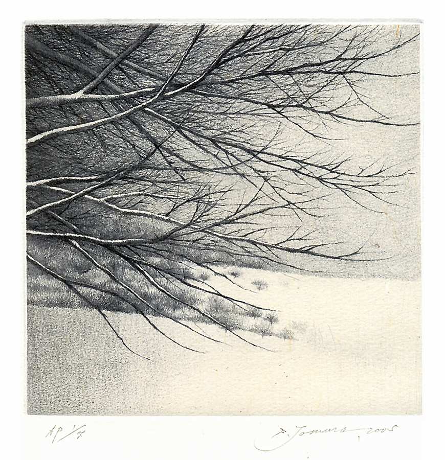 Shigeki Tomura — I премия