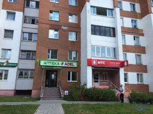 Салон связи МТС на ул. Первомайская, 142: изображение 1