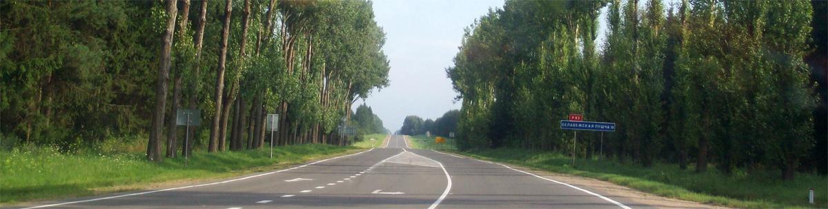 Р83 - дорога в Беловежскую пущу