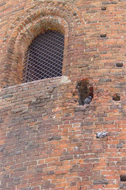 окно Каменецкой башни